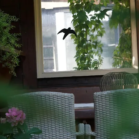 Apartman Zirmhof Saalbach Hinterglemm