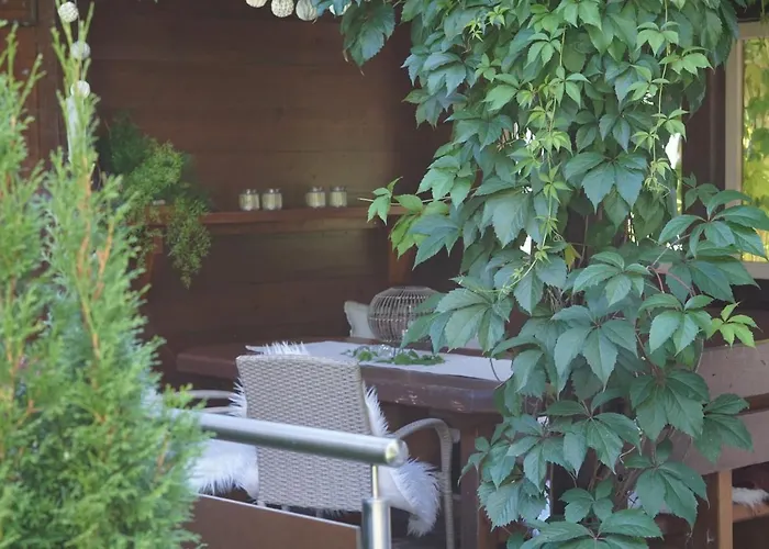 Zirmhof سالباخ هينترغليم